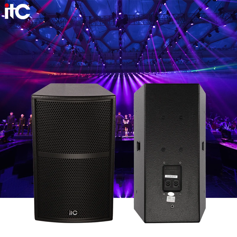 ZJZ 13 Inch 250W 8Ω Conference Audio Speakers Professional Sounds Set Speakers Professional