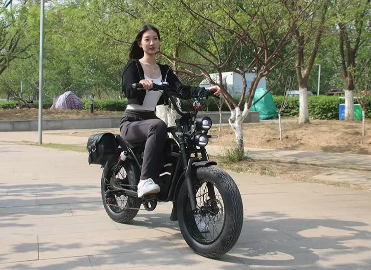 

Хорошо продаются, США, оптовая продажа с фабрики, 48 В, 18 Ач, Bicicleta Electrica, 1500 Вт, мощность двигателя, электрический грузовой велосипед, литиевый три