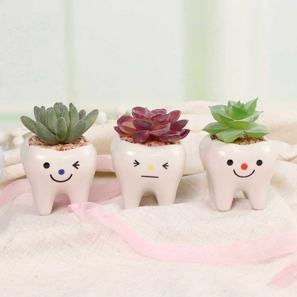 Cute Tooth Flowerpots Ceramic Garden Pots Planters Succulent Cactus Vases Decor Home Garden Decorative Tabletop Plant Pot