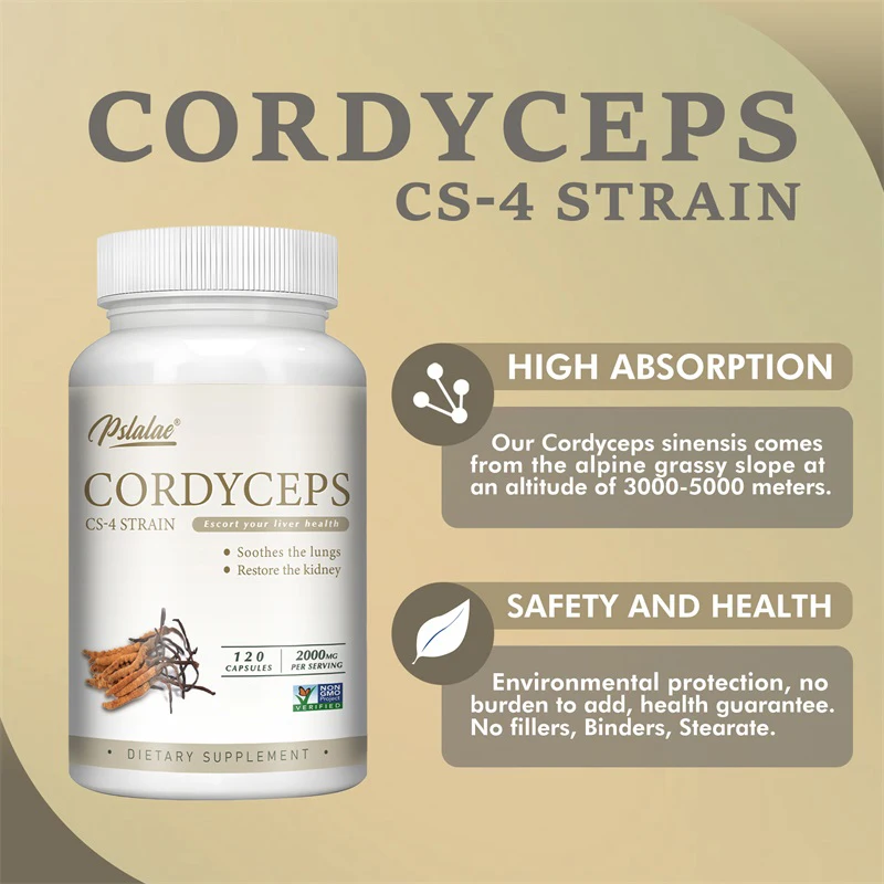 Cordyceps - Energy, Respiratory, Immune, Kidney Health Support