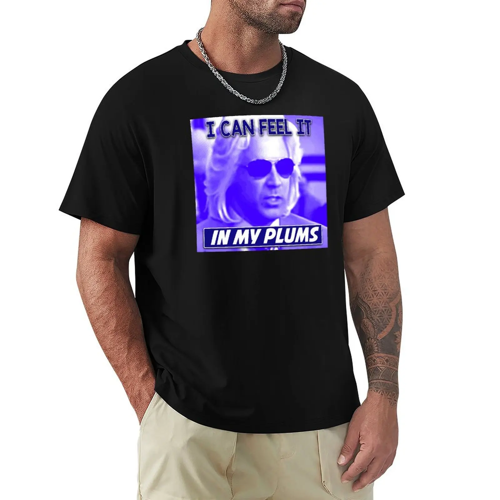 Ashley Schaeffer I Can Feel It In My Plums Kenny Powers T-Shirt Plus Size Basic Short Sleeve Top