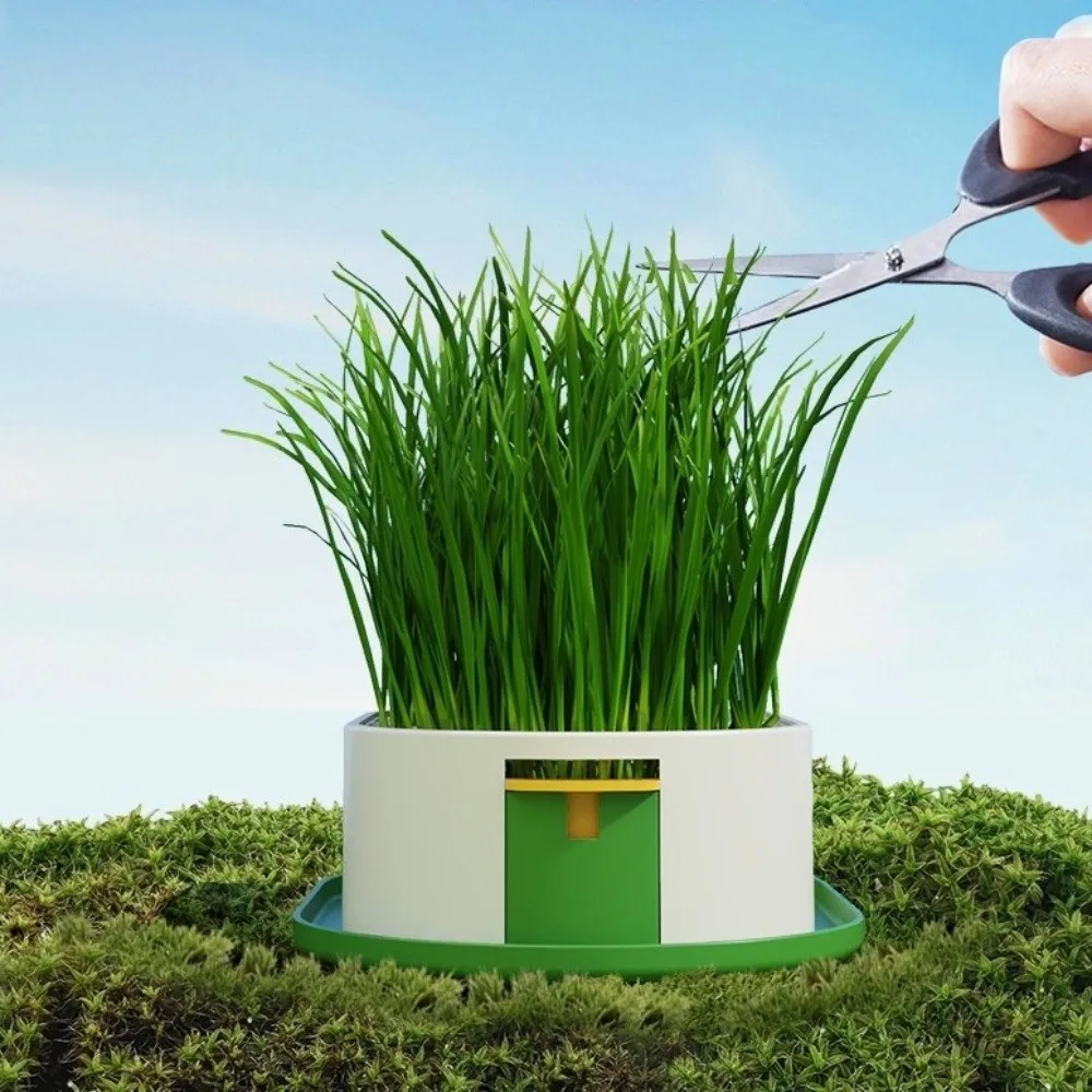 Layered Design Cat Grass Planter Box Removable With Drain Holes Hydroponic Planting Tray Prevent Overflow