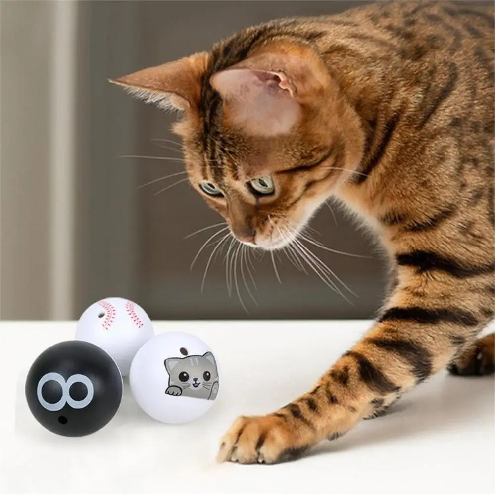 

Pet Toy Balls Cat Toy Sound Making Ball Amuse The Cat Relieve Boredom Throw Interactive Kitten Toys Pet Supplies