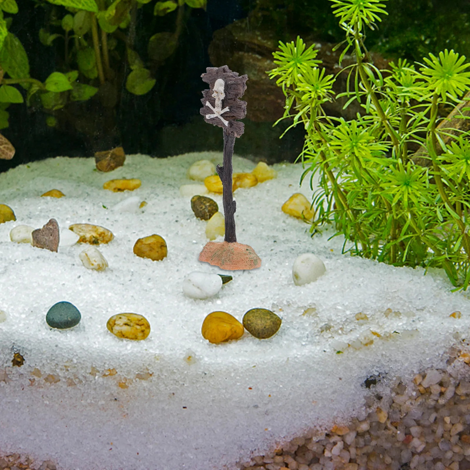 

Aquarium Skull Warning Sign Resin Ornament Exquisite Fish Tank Decoration Safe Freshwater Environment Durable Material