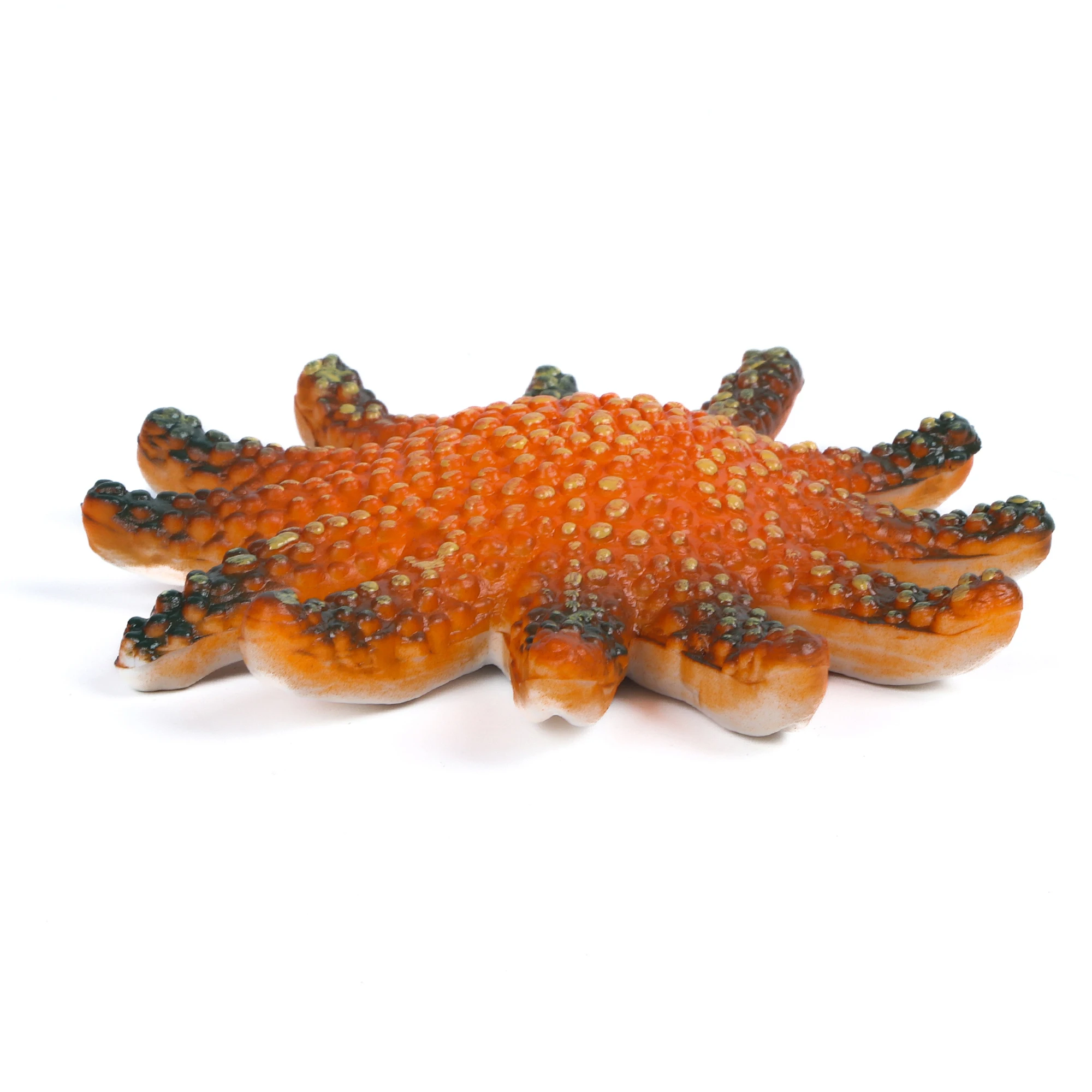 Figurka rozgwiazdy - żywa figurka gwiazdy morskiej 4,5" - zabawka edukacyjna dla chłopców, dziewcząt i dzieci w wieku od 3 lat