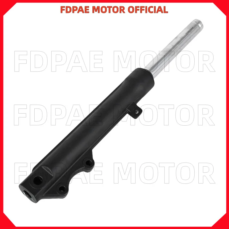 Front Shock Absorber for Wuyang Honda Wh100t-2-2a-5-6-6a