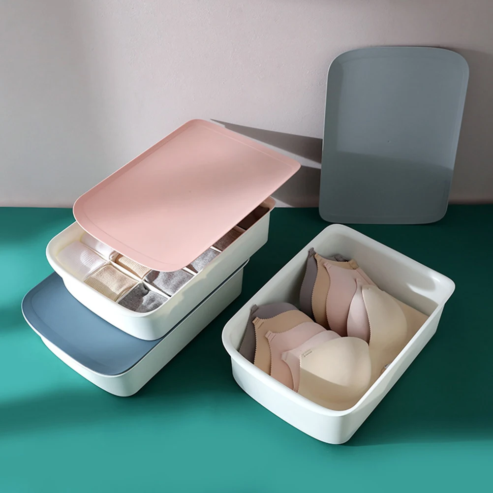 

Underwear Storage Box Laundry Dividers Panties Lingerie Underskirt Case Household