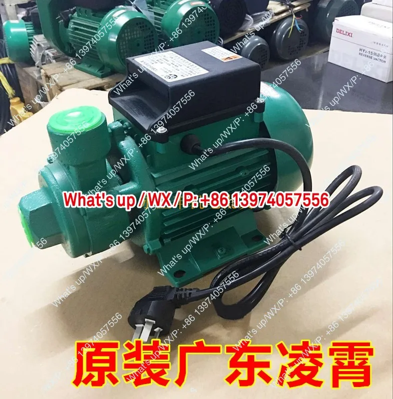 Guangdong Lingxiao 1DB35 1DB45 1DB65 -B Clean Water Pump 330W Household Pump 550W 750W