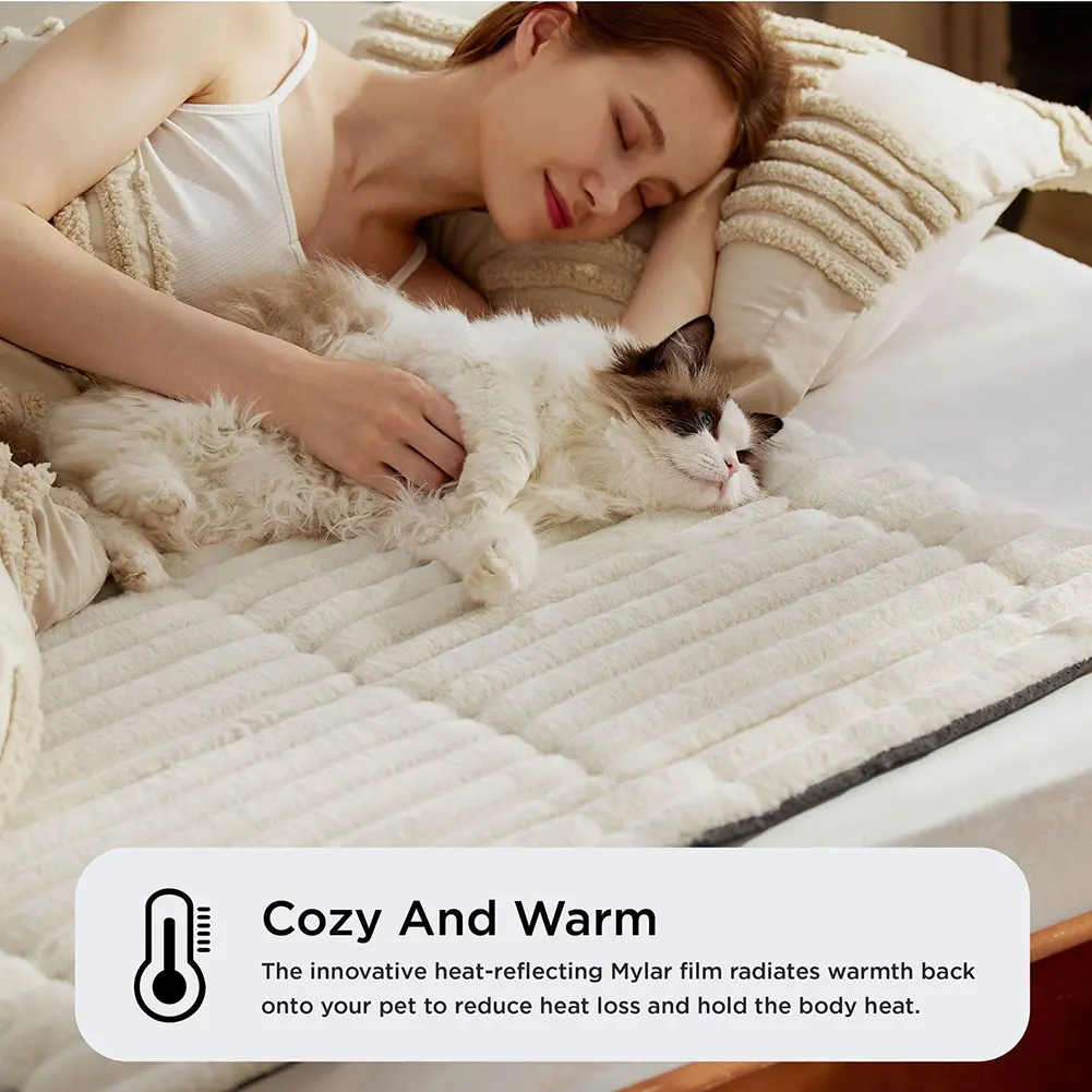 Thumbnail 4 - #5 Trending Cat Furniture Right Now