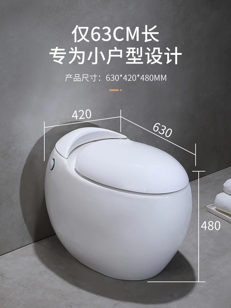 Earl David Egg Toilet Small Space Cute Toilet Electric Small Size without Tank Toilet Small Apartment