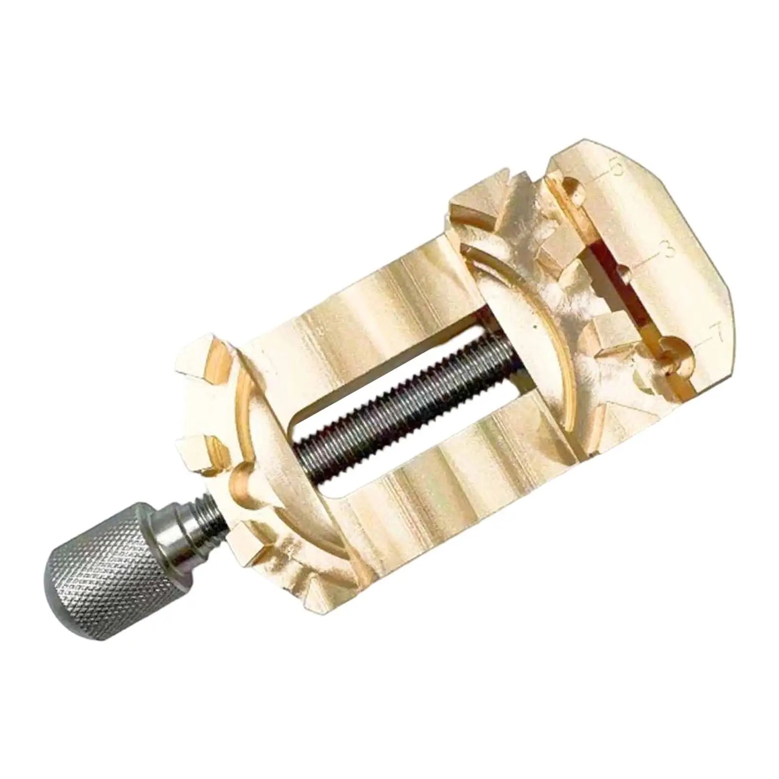 Mini Watch Bench Vise Clamp,Flat Table Vice Professional Watch Repair Tool Maintenance for Jewelry Enthusiasts Repairing DIY