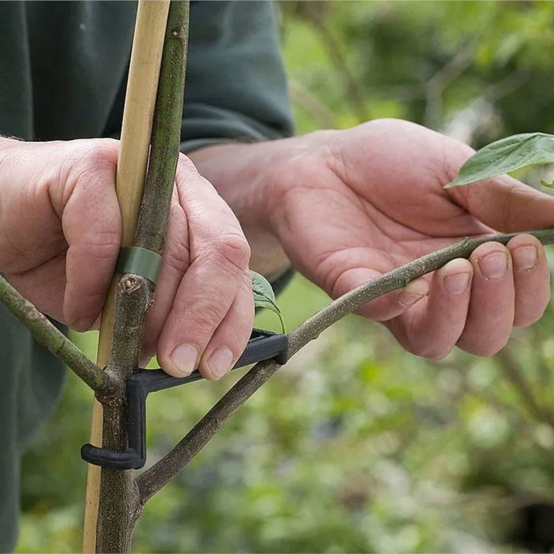 5 pçs árvore de fruto ramo membro espalhador para forte espalhamento virilha ângulos ramos bonsai ramo tronco espalhadores ferramentas modelagem