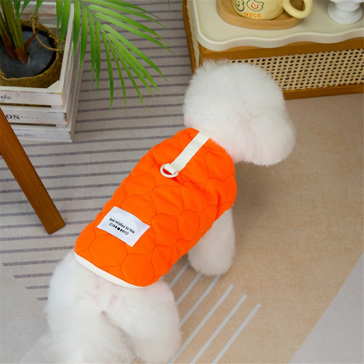 Pet Clothes Autumn and Winter Dog Clothes Teddy Cat Pet Clothes Winter Pet Cotton Coat Orange