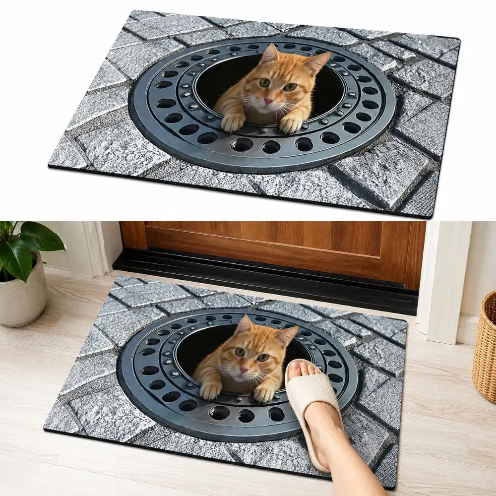 2D Flat Optical Illusion Doormat Water-absorbing Abrasion-resistant Bathroom Carpet Non-slip Diatomaceous Earth Bedroom Door Rug