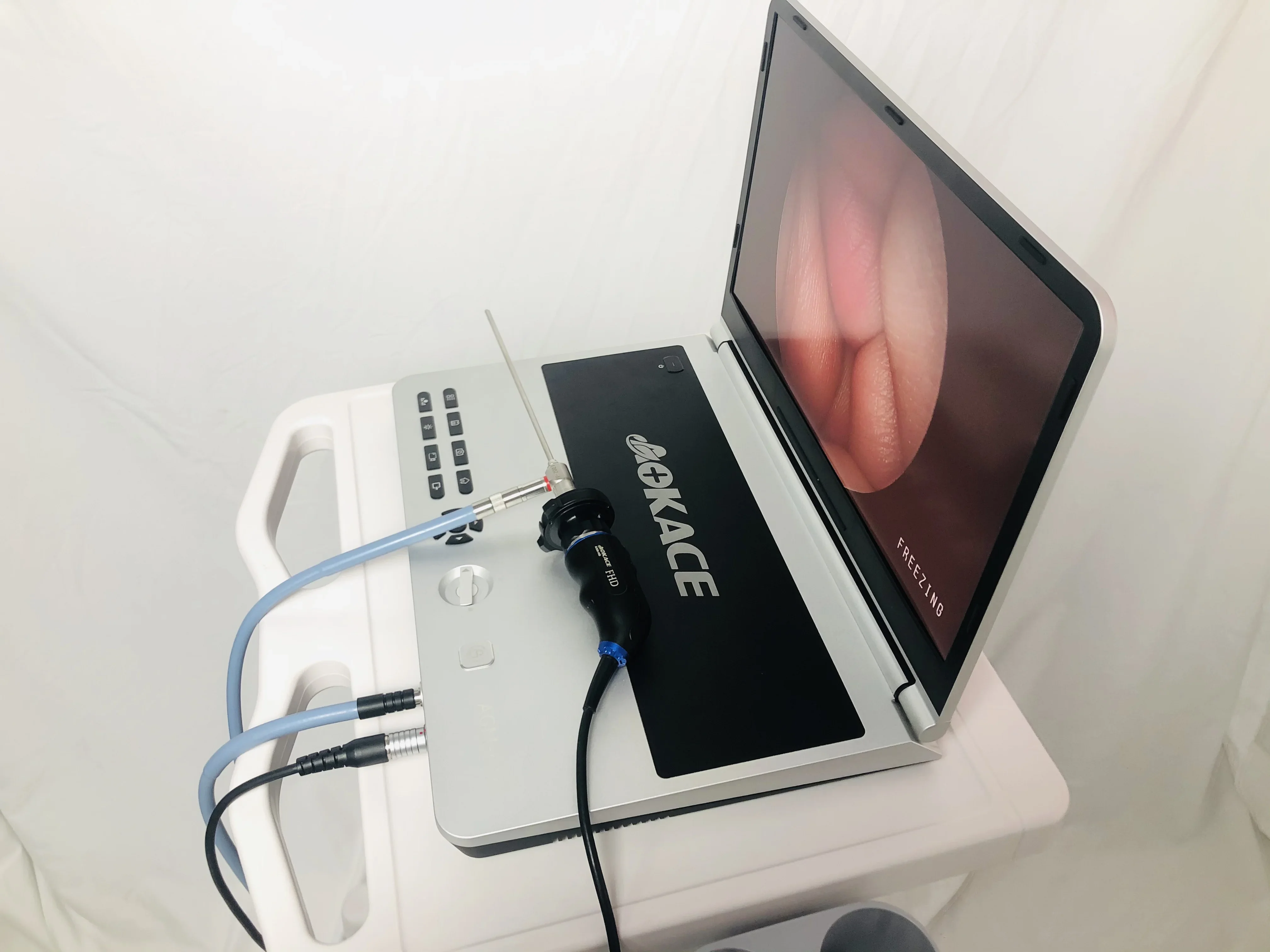 4K screen All-In-One portable endoscope camera system for Laparoscopy/ENT/Gyneacology/Urology Surgery