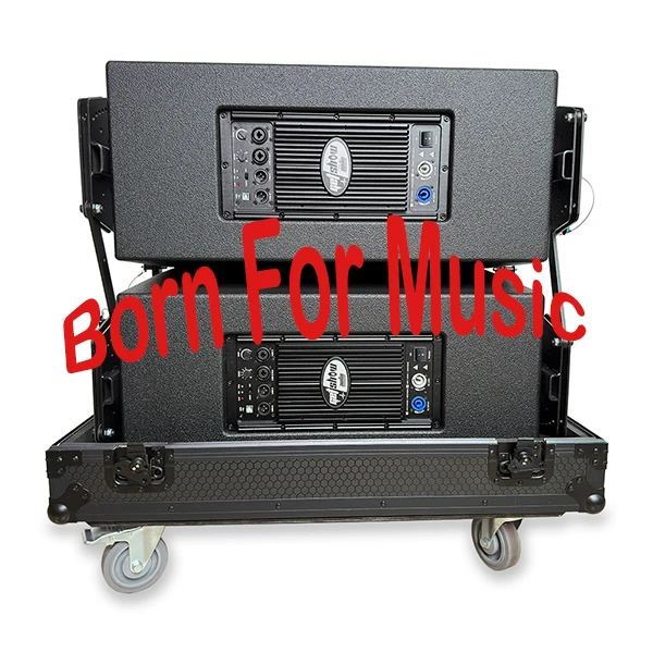 800W+400W 2 Way Amplifier Module FIR Professional Speaker Plate Amplifier Class D with DSP