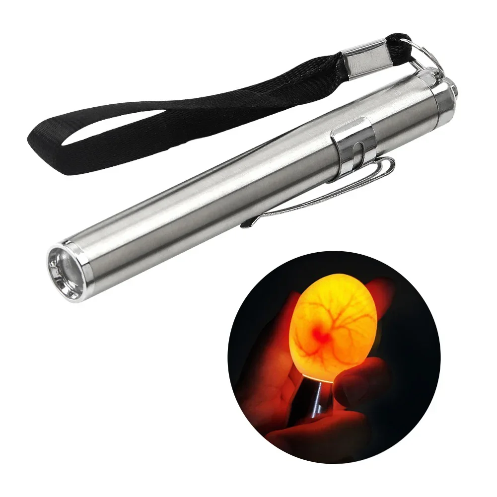 Egg Candler Tester High Intensity Cool LED Light Candling Lamp Rechargeable for All Types Egg Broody or Incubator Monitor