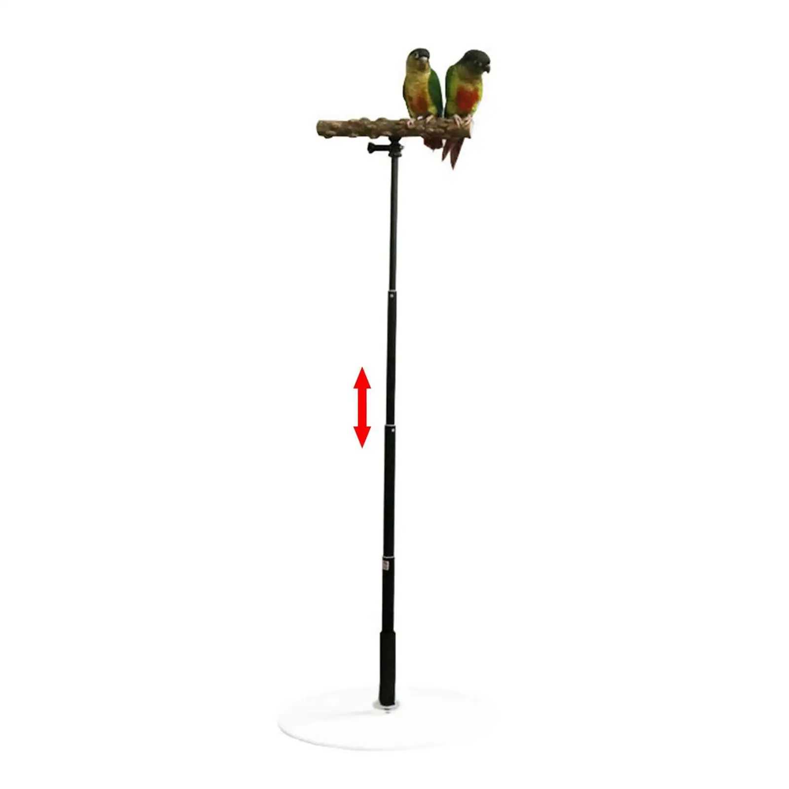 Portable T Stand Parrot Training Resting with Base Cage Bird Perch for Finch Conures Cockatiel Bird Cage Accessories