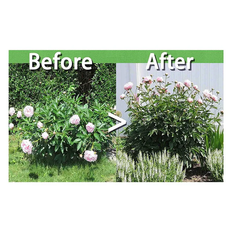 ABWZ-6 Sets Peony Support Cage, Grow Through Hoops Grids With 4Pcs Legs,Plant Support Brace,Flower Strong Support Ring