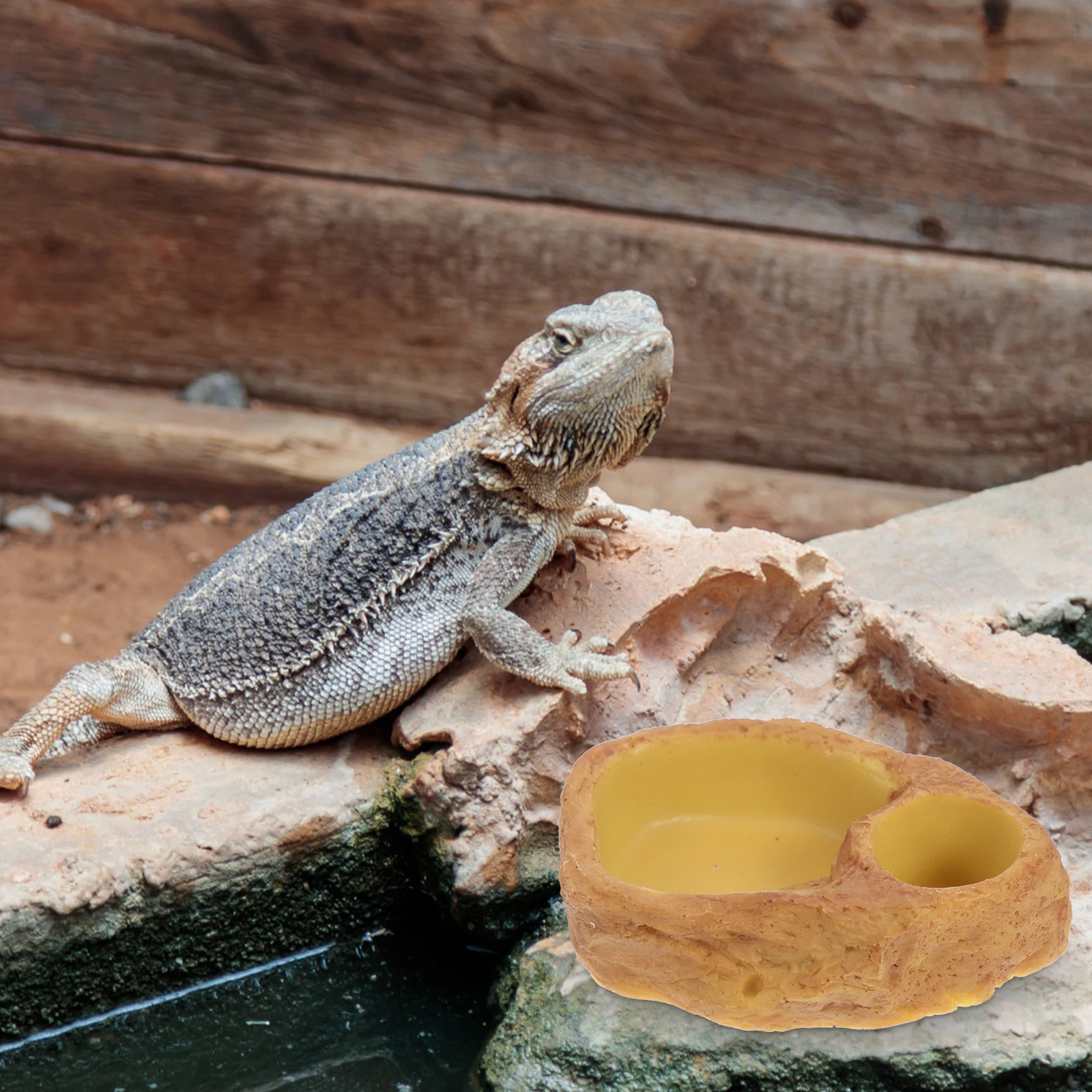 

Resin Simulation Rocks Reptile Feeding Bowl Water Basin Crawling Pet Supplies Tortoise Lizard Food Holder Non-Slip Deep Bowl For