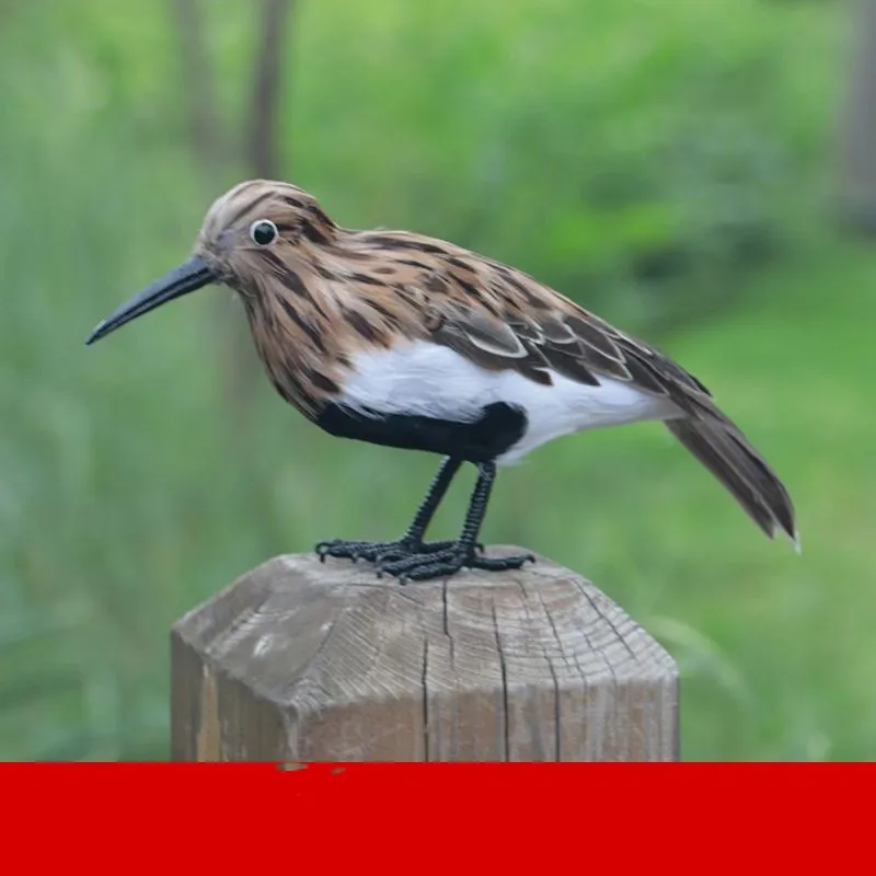 

Имитация птицы из пенопласта и перьев, модель птицы-попугая, около 25 см, украшение для дома, подарок y011