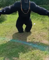 Real Life Inflatable Gorilla Costume Full Mascot Suit Giant Adult Fur Gorilla Cosplay Fancy Dress for Events Party no battery
