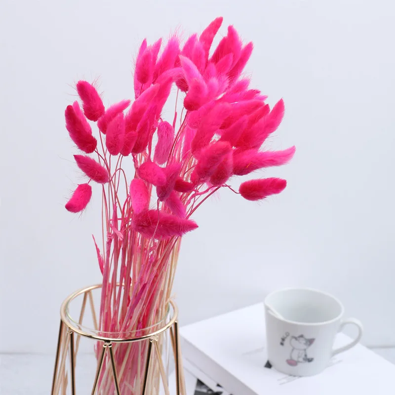 Flores secas naturais Coelho Coelho Cauda Grama Bunch Real Flor Bouquet Pampas Grass para Decoração de Casamento Home 30/60PCS