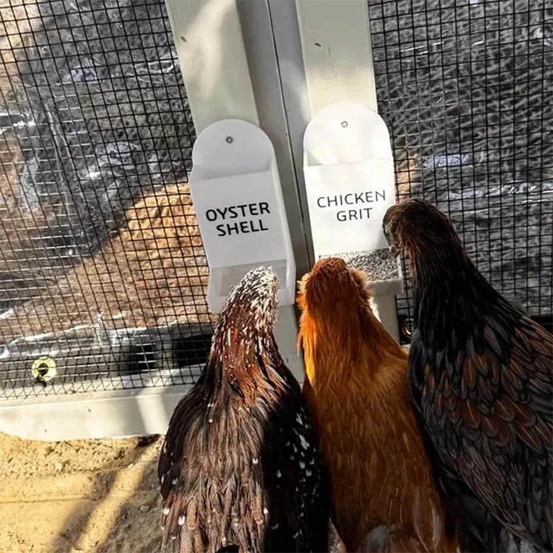 Chicken Feeders Hanging, Gravity Poultry Trough for Grit and Oyster Shells