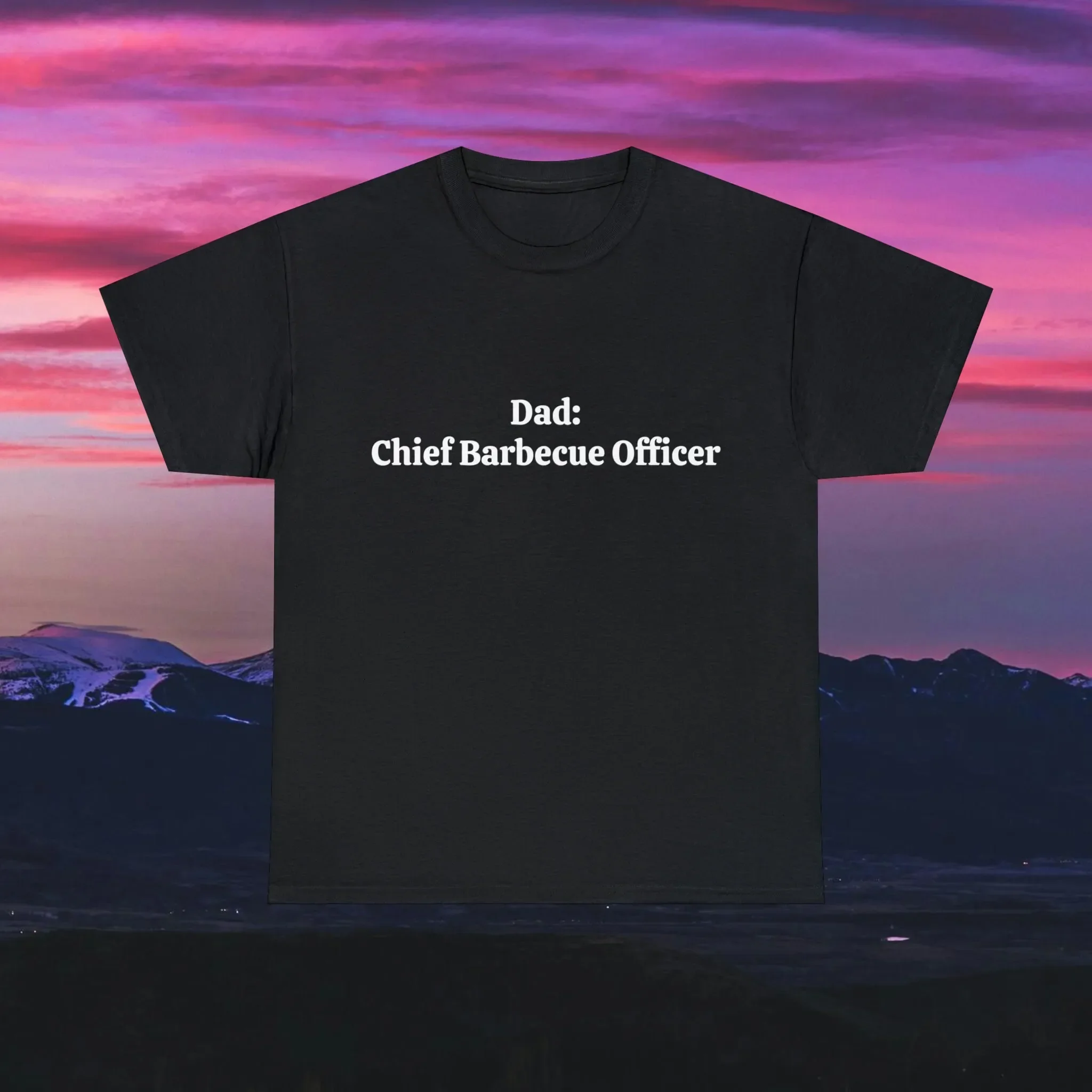 Dad Chief Barbeque Officer Fathers Day T Shirt