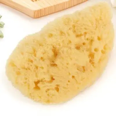 Watercolor Sponge Tools Fun Shape Design Sponges for Watercolor Texture Painting Art Craft Projects Family