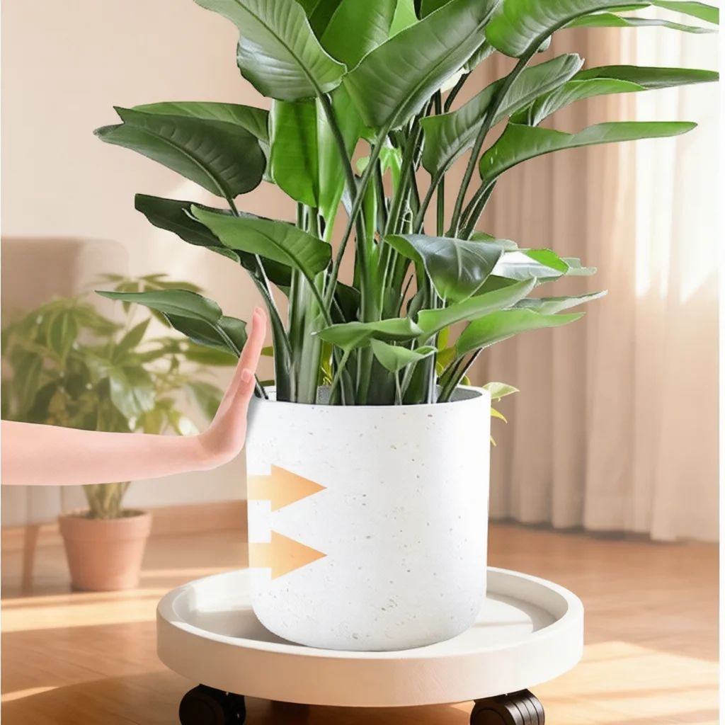 Rolling Planter Tray With Whee - đánh giá và giá Bonsai Garden Stand