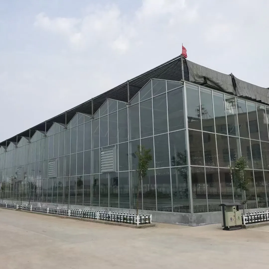 2025New ARRIVAL Strong WIND Resistance Green House กระจกนิรภัย Multi-Span เรือนกระจก Roll Up สําหรับ Organic Farming