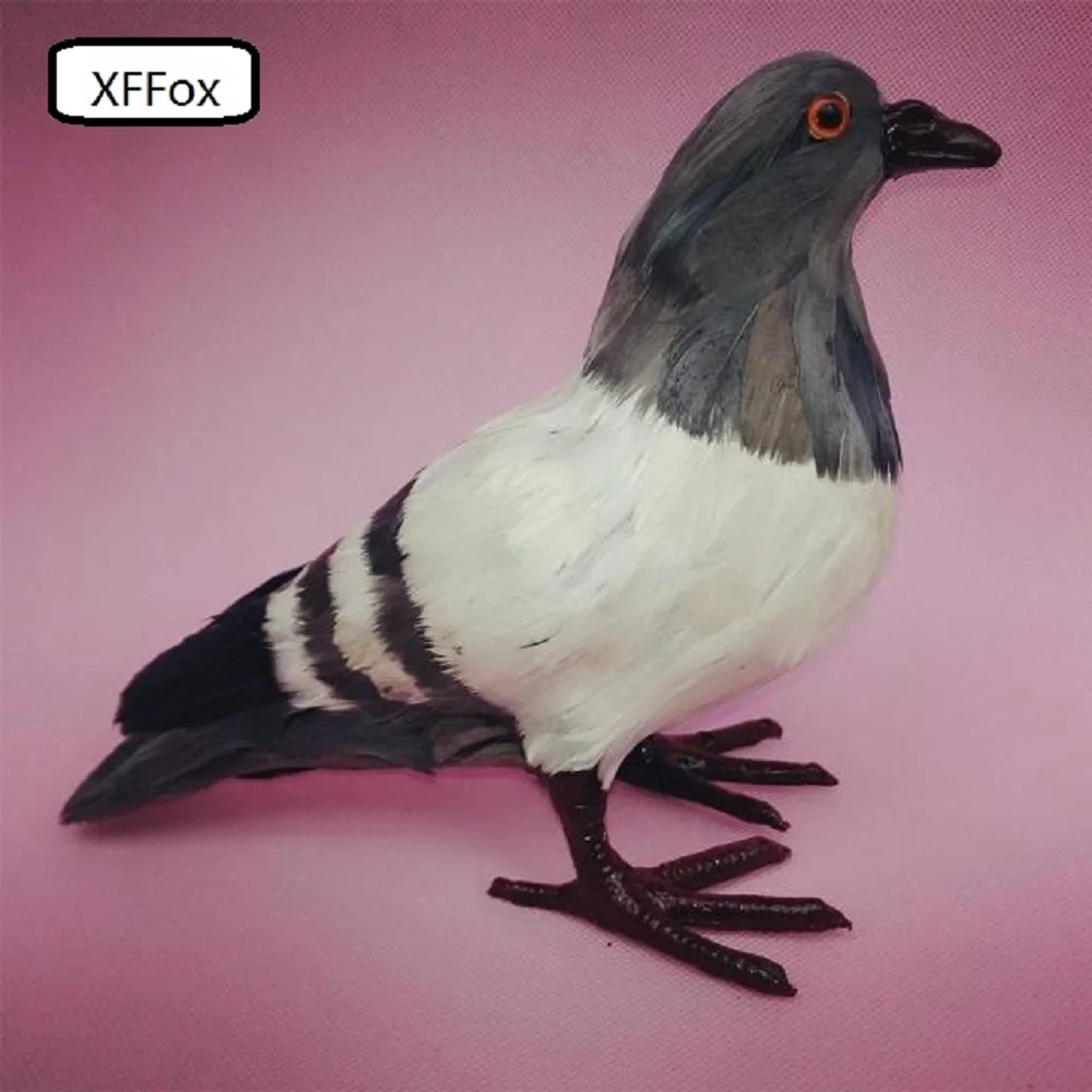 

new real life gray pigeon model plastic&feather dove bird about 22x18cm xf0034