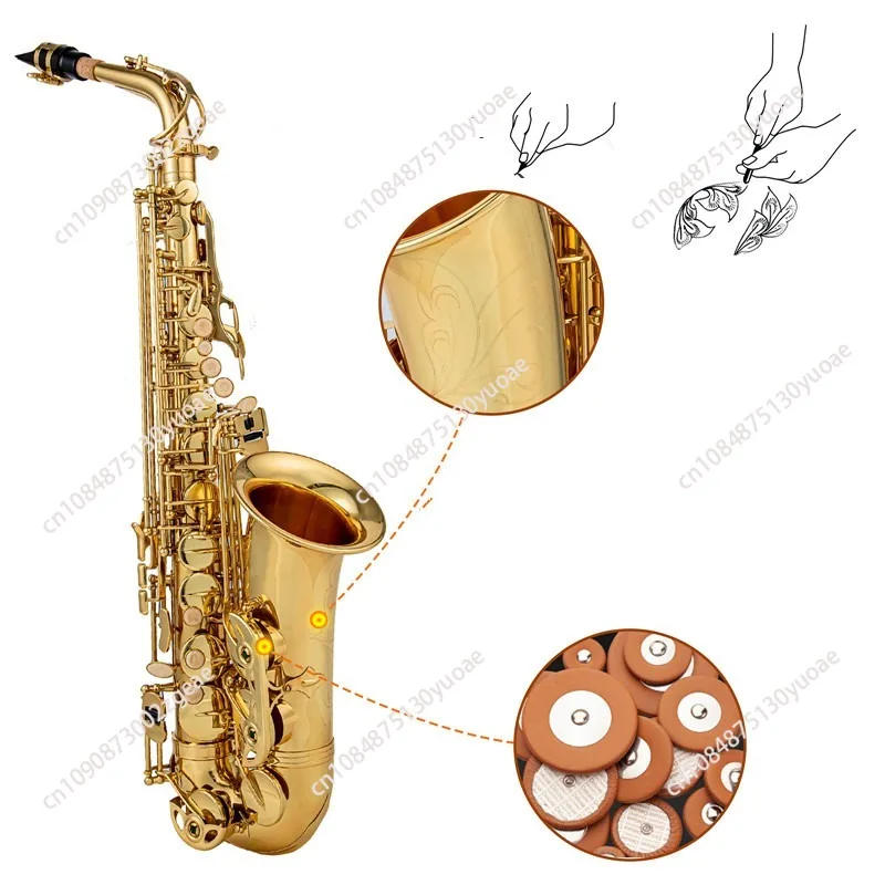 E-Flat Alto Saxophone for Beginner, Gold Wind Instrument, Adult Test