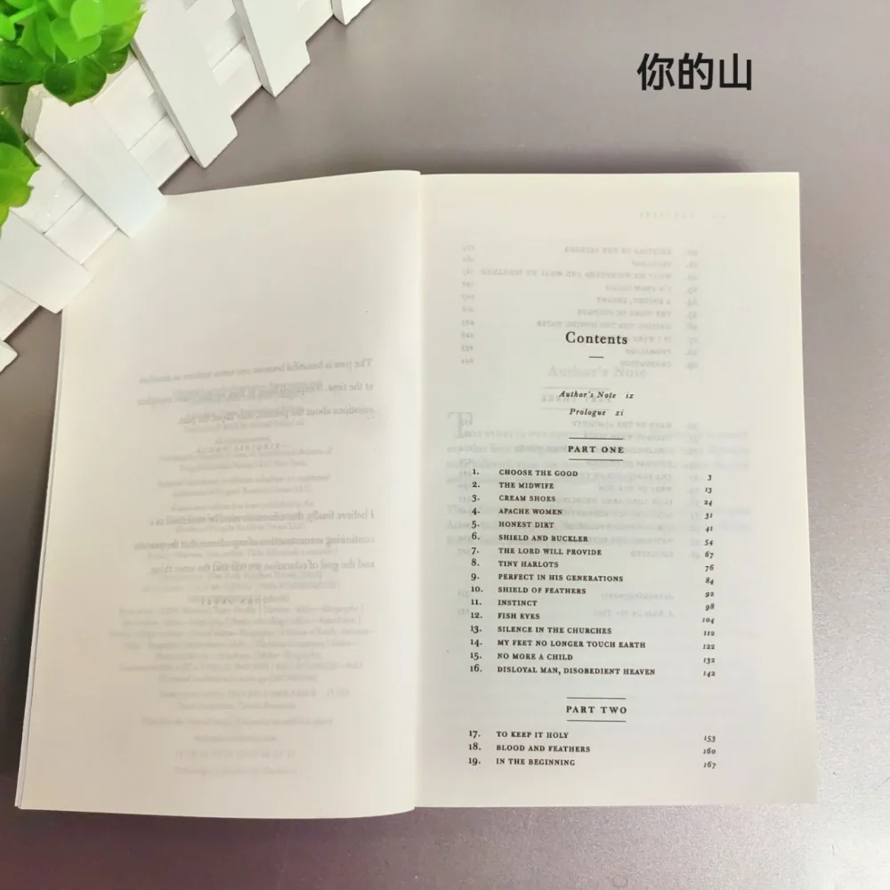 يجب عليك أن تطير مثل طائر إلى جبلك. تعليم مذكرات، نسخة إنجليزية من كتاب "التعليم يغير الحياة"