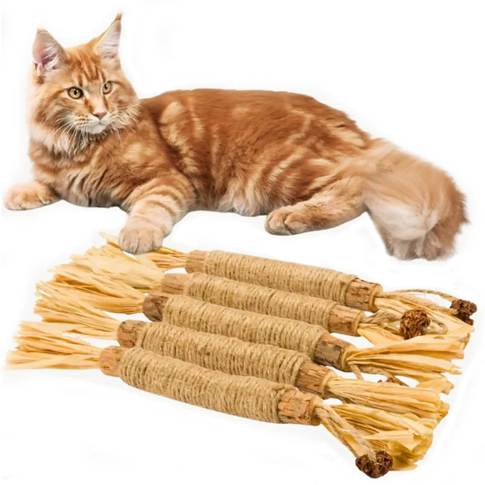 5 pacote silvervines varas brinquedos do gato, brinquedos da mastigação do gato & do gatinho para mastigadores agressivos, brinquedo dental do gato para a limpeza dos dentes do gatinho,