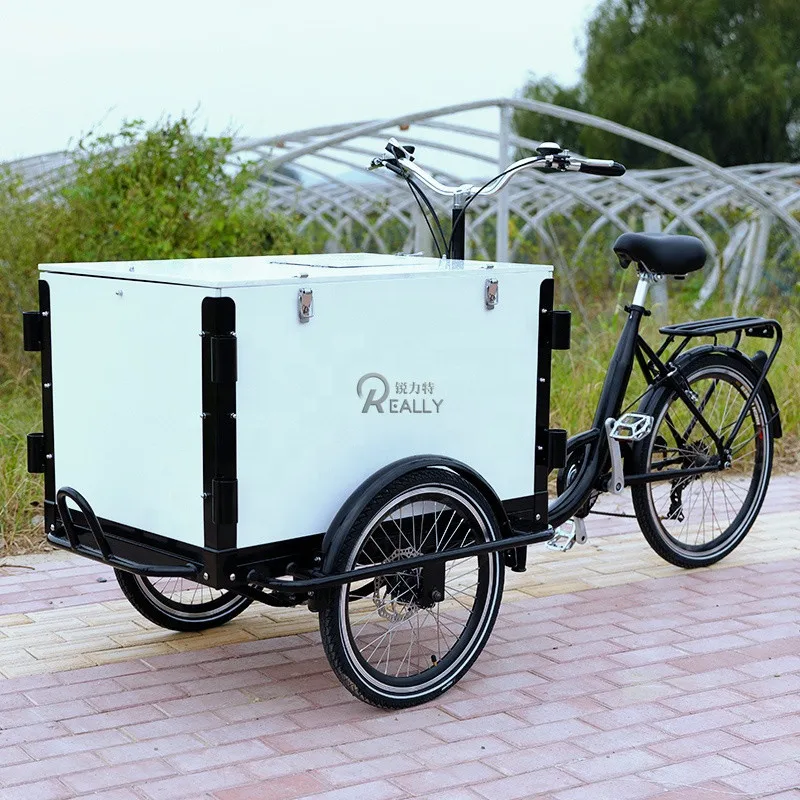 Pedal Front Loading 3 Wheels Ice Cream Tricycle For Sale  Adult Tricycles Dry Ice Cargo Bike With Top Lid