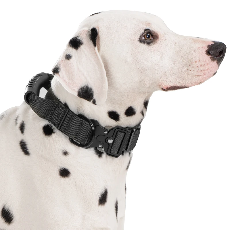 Taktisches Hundehalsband für mittelgroße und große Hunde, robuste Hundehalsbänder mit Griff, Hundetrainingshalsband mit Metallschnalle, dickes Militär – Detail 9