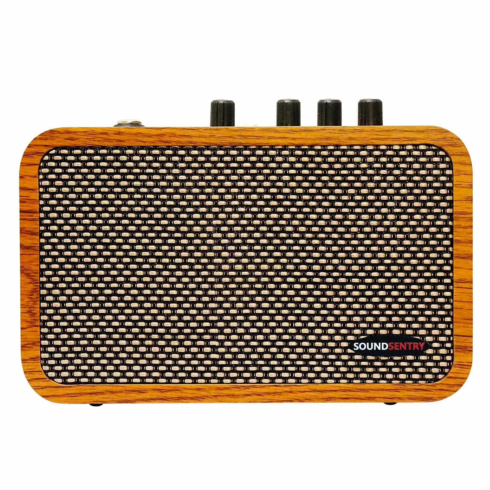 Compact 10W Guitar …