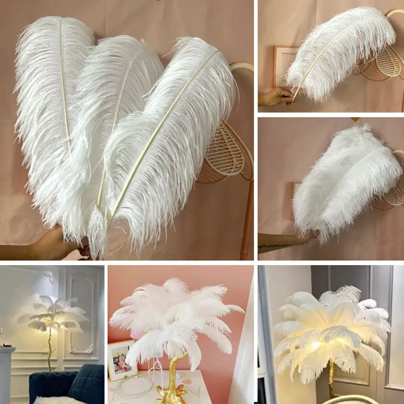 

10pcs15-50cm Ostrich Feather Stage Performance Multicolor Feather Diy Decoration Wholesale