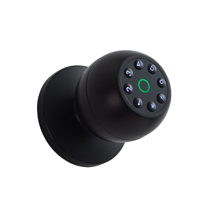 Smart Lock Biometric Password and Fingerprint Electronic Replacement Ball Lock Aluminum or Wooden Door Lock