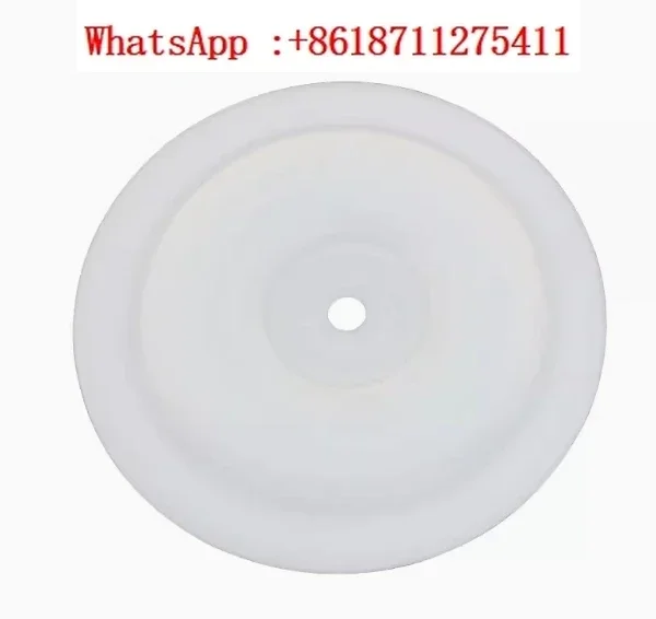 

PTFE Membrane Spare Parts Diaphragm for BML-10 Pneumatic Diaphragm Pump