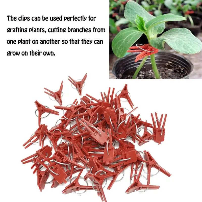 50PCS Plant Grafting Clip Plastic Gardening Tool For Cucumber Eggplant Watermelon Round Mouth Flat Mouth Anti-fall Clamp