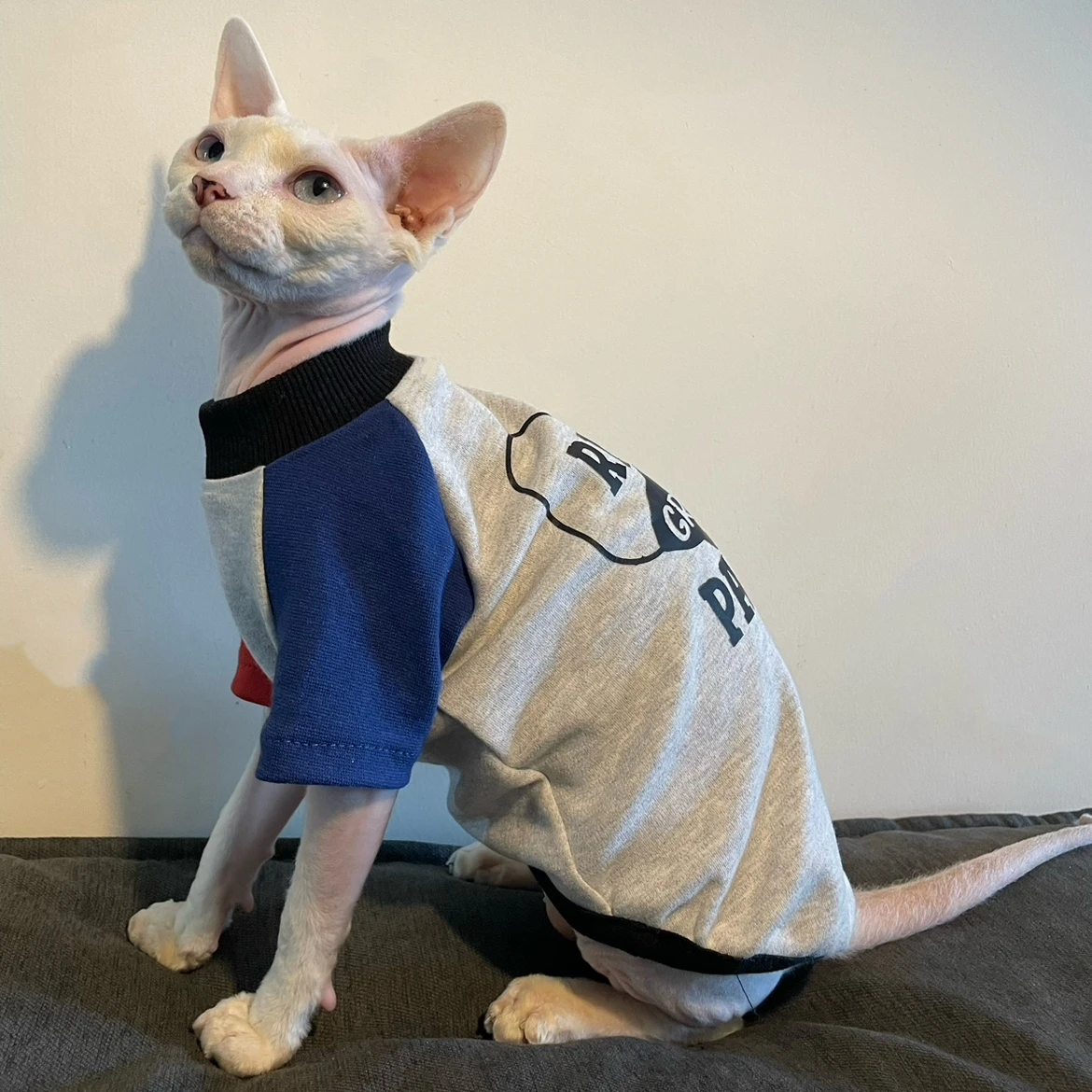 Sphynx Cat Clothing Winter Fashion Cartoon Sweatshirt for Male Cats soft Grey Cotton Coat for Devon Rex Warm Costume for Kittens