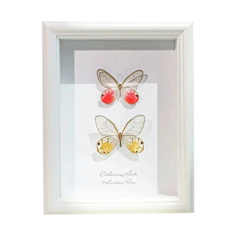 Rose Xiao Huangjing Eye Butterfly Specimen Handmade Decorative Painting Photo Frame Three-dimensional Ornament