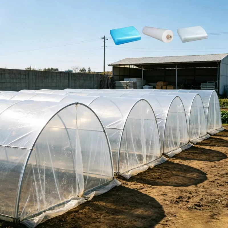 Anti-aging Greenhouse Film High Transmittance UV Resistant Plastic Cover Customizable Size Película de Invernadero Clear