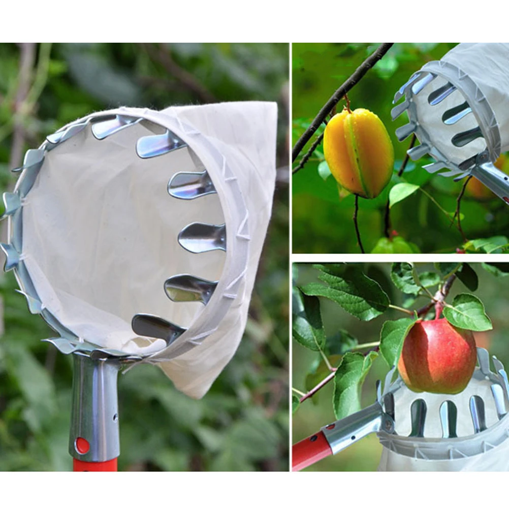 

2 PCS Fruit Scissors Picker Tool Harvest with Pole Tree Fruits on The Equipment