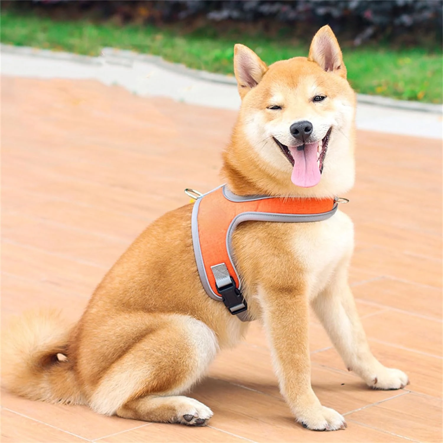 Extra Large, Strong, and Multicolored Dog Harness Vest for Maximized Safety, Enhanced Comfort, and Ultimate Security - Improved