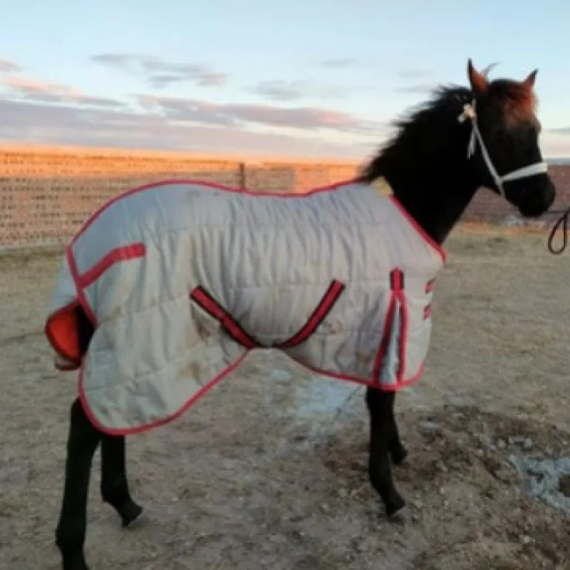 Waterproof 420D Horse Blanket, Fleece Lined, Thick Warm Winter Coat for Horses, 420D Outer Shell