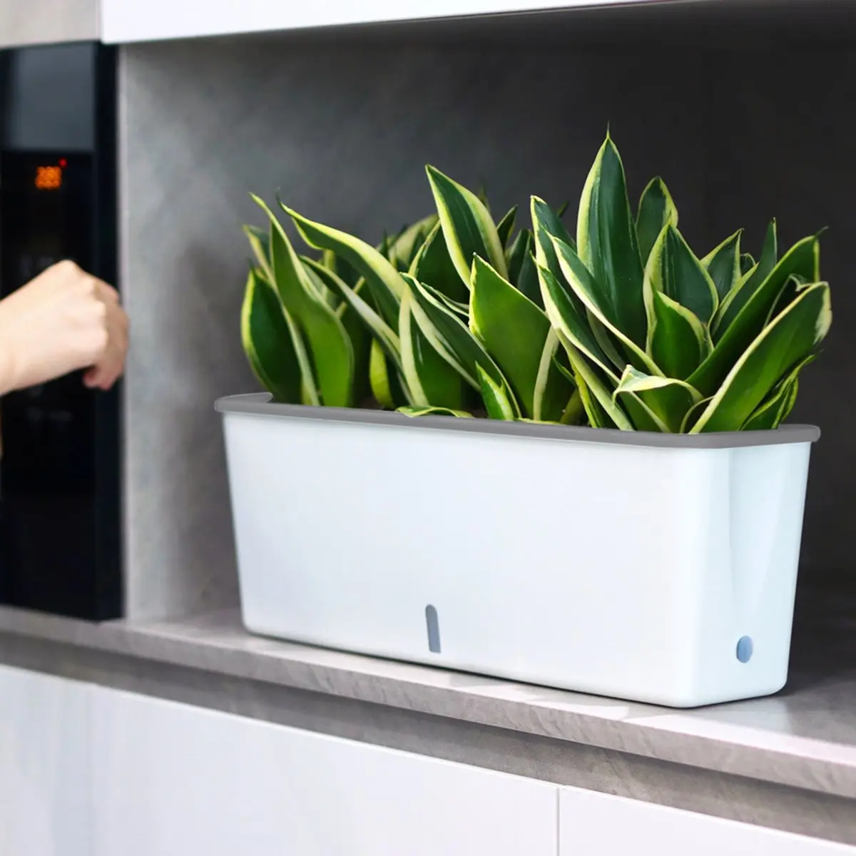 NEW Self-Watering Planter Pots with Handy Water Level Indicator Lazy Double Layer Flower Pot Gift for Friends Families